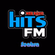 Logo de Hits FM Seabra