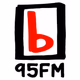 Logo de 95bFM