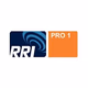 Logo de RRI - PRO1 Rimba Raya