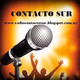 Logo de Radio Contacto Sur