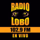 Logo de Radio Lobo - KIWI