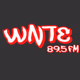 Logo de 89.5 FM WNTE - WNTE