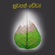 Logo de Syberviduliya Dhamma Radio