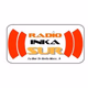 Logo de Radio Inkasur