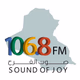 Logo de اذاعة صوت الفرح