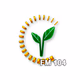 Logo de Yoshlar Radiokanali