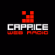 Radio Caprice - Garage Punk logo