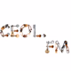 Logo de Ceol FM - Songs