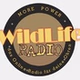 Wild Life Radio - Club Stream logo