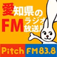 Logo de Pitch FM