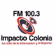Logo de Impacto Colonia