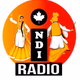 Logo de IndiRadio