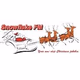 Logo de Snowflake FM