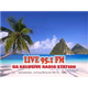 Logo de Live 95.1FM