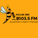 Logo de B103.5 - WDDB-LP