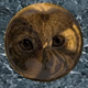 Logo de sixtus