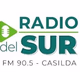 Logo de Radio Del Sur Casilda