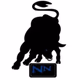 Logo de Nguni Nation FM