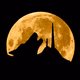 Logo de Radio Lobo.MX