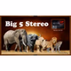 Logo de Big 5 Stereo