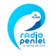 Logo de Radio Peniel El Tejar