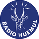 Logo de Radio Huemul