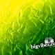 Logo de Bigvibez Radio