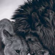 Logo de Corazon Rastafari