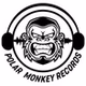 Polarna Majmunčina Records Trance Radio logo
