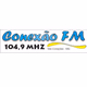 Logo de Rádio Conexão 104.9 FM