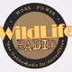 Logo de Wild Life Radio - Main Stream