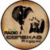 Logo de Rádio Conexão Reggae