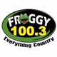 Logo de Froggy 100.3 - WFFG-FM