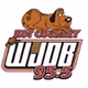 WJDB 95.5 FM - WJDB-FM logo