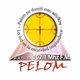 Logo de Radio Pelom FM