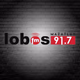 Logo de Lobos FM 91.7 - XHTLAN