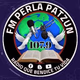 Logo de FM Perla 107.9 Patzun
