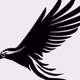 Logo de Nighthawk Radio