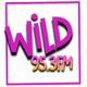 WILD 95.3 FM logo
