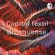 Logo de Rádio Capital Têxtil Brusquense