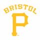 Logo de Bristol White Sox Baseball Network