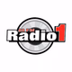 Radio1 - Disco logo