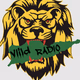 Logo de ViiLD Country
