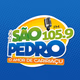 Logo de Rádio São Pedro FM