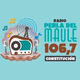Logo de Radio Perla del Maule