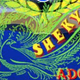 Logo de Shekynah Stereo