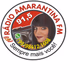 Logo de Rádio Amarantina FM