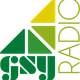Logo de GSY Radio