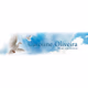 Logo de Radio Caroline Oliveira
