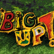 Logo de BigUpReggaeRadio